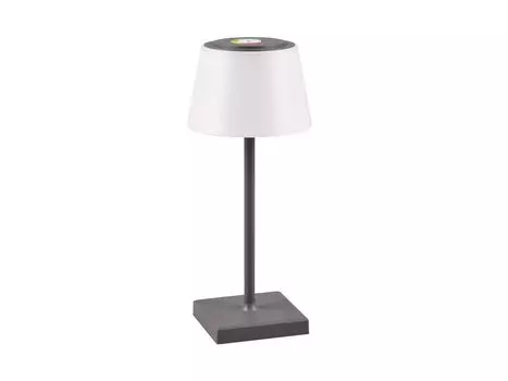 Настольная лампа на батарейках, антрацит, светодиодная лампа SANCHEZ, USB-переключатель цвета, ок. 30 см. Reality Leuchten, черный