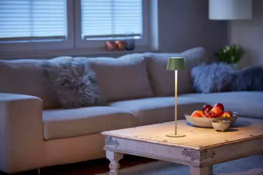 Настольная лампа Northpoint