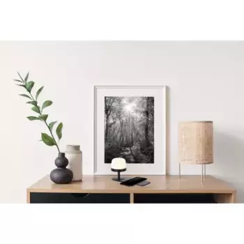 Настольная лампа NOWA, черный