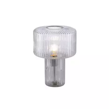 Настольная лампа Paul Neuhaus "FUNGUS", 1 лампочка, лампочка E27 | без лампочки, эксклюзив Е27, выключатель, шнуровой выключатель 25 см, цвет transparent