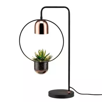 Настольная лампа Paulmann Fanja