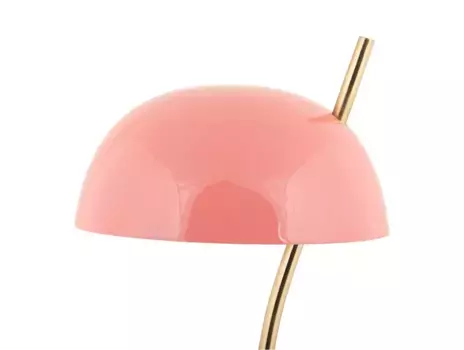 Настольная лампа Present Time, розовый
