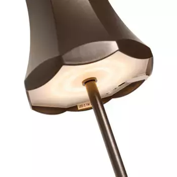 Настольная лампа QAZQA, цвет Bronze