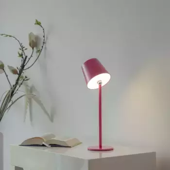 Настольная лампа Selltec, розовый