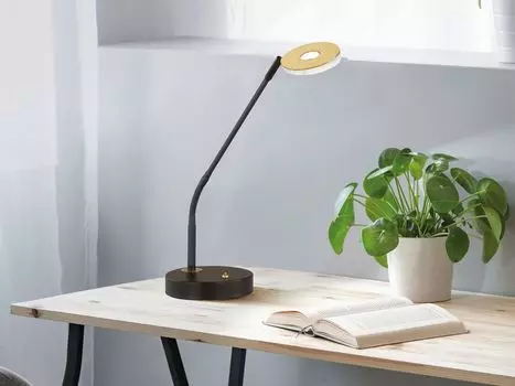 Настольная светодиодная лампа черного/золотого цвета с диммером и цветом CCT, высота 60 см. Fischer & Honsel Leuchten
