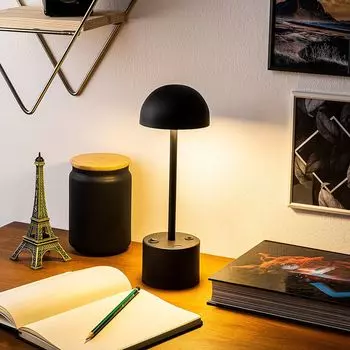 Настольные лампы Opviq полумесяц-FRS1423, черный