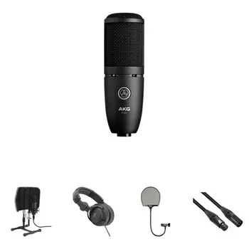 Настольный Набор Для Записи Вокала AKG P120