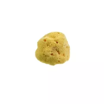 Натуральная губка Beautytime