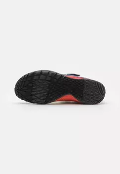 Натуральные кроссовки для бега TRAIL GLOVE 7 UNISEX Merrell, разноцветный
