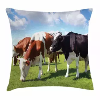 Наволочка Abakuhaus