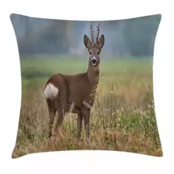 Наволочка Abakuhaus