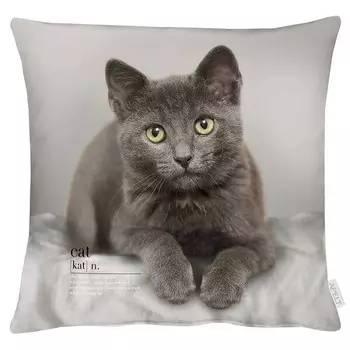 Наволочка Apelt 6870, 46x46x0,5 см, серый