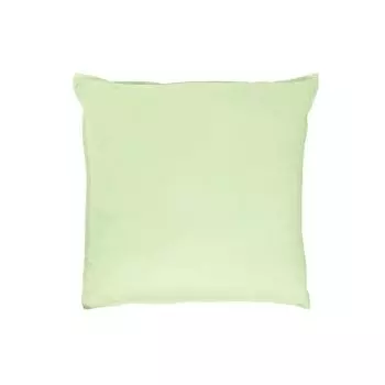 Наволочка Dream Sleep Uni Single Jersey Eschle Набор из 2 шт., 2x 40x40 см, зеленый Traumschlaf