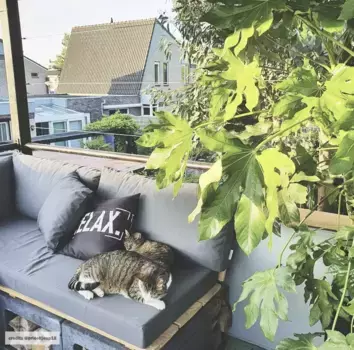 Наволочка Gek op kussens!, черный