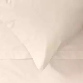 Наволочка Поп-цвета 50X80 Bassetti, слоновая кость