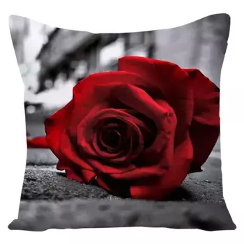 Наволочка Stuttg, цвет Bunt