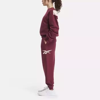 Назад Векторные Флисовые Брюки Reebok, цвет Classic Maroon