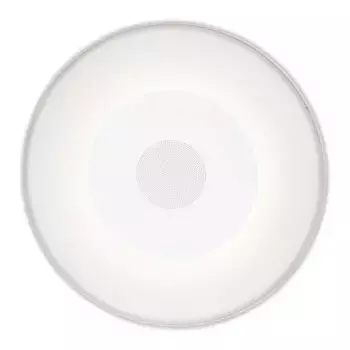 New Garden Портативная акустическая система Play Disk 40 для настенного бассейна, новый сад, белый