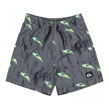 Next Gen 12" Quiksilver Детские плавательные шорты, чёрный