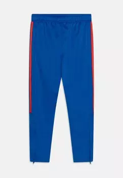 Низ тренировочного костюма Tiro Nations Pack Unisex adidas Performance, синий/зеленый/белый/красный