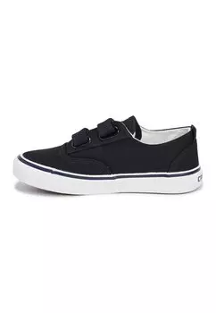 Низкие кеды Creeks, цвет black
