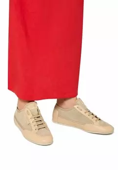 Низкие кеды DAFNE 2 Candice Cooper, бежевый