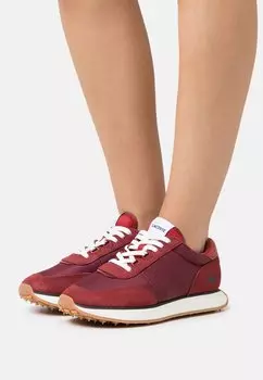 Низкие кеды Lacoste, бордовые