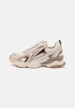 Низкие кеды SPEEDSTER Steve Madden, золотой