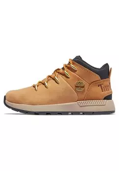 Низкие кеды Timberland, цвет beige