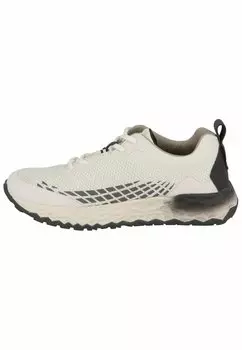 Низкие кеды TOM TAILOR, цвет White Black