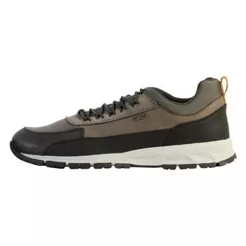Низкие кеды U Delray B ABX B мужчина GEOX, цвет braun
