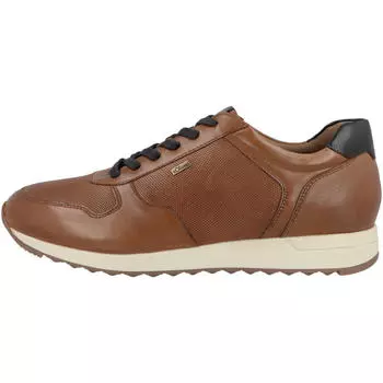 Низкие кроссовки 5-13629-41 мужские S.OLIVER, цвет braun