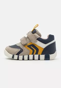 Низкие кроссовки B Iupidoo Unisex Geox, цвет sand/navy