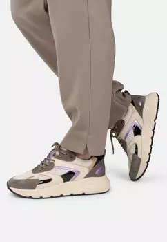 Низкие кроссовки Cibel Ps Poelman, зеленый