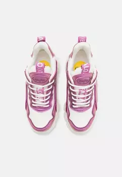 Низкие кроссовки CLD CHAI Buffalo, фуксия