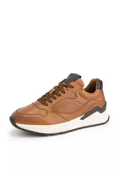 Низкие кроссовки Cortland St DENBROECK, цвет Cognac