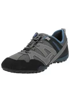 Низкие кроссовки Geox, цвет Grau/Blau