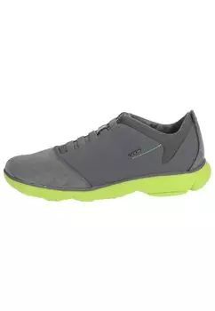 Низкие кроссовки Geox, цвет Grau/Grn