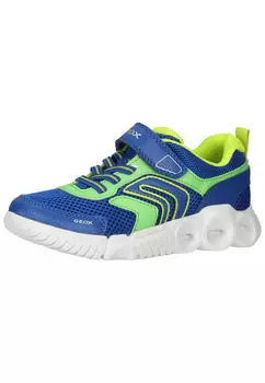 Низкие кроссовки Geox, цвет Royal