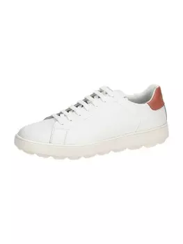 Низкие кроссовки Geox Low, белый