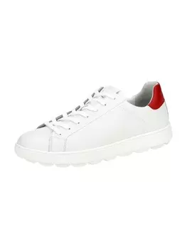 Низкие кроссовки Geox Low, белый