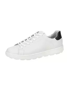 Низкие кроссовки Geox Low, белый