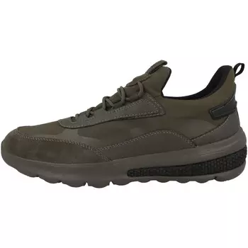 Низкие кроссовки Geox low U Spherica Actif A, темно зеленый
