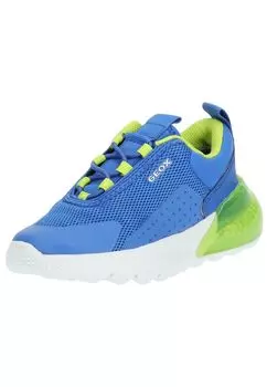 Низкие кроссовки Geox, синий