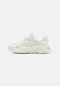 Низкие кроссовки Kingly Steve Madden, белый