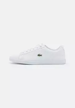 Низкие кроссовки Lerond Unisex Lacoste, белый