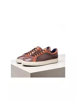 Низкие кроссовки LLOYD, разноцветный