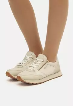 Низкие кроссовки mtng, арена