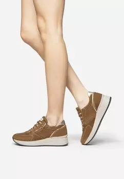 Низкие кроссовки NeroGiardini, коричневый