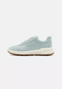 Низкие кроссовки Pg1X Geox, цвет light blue